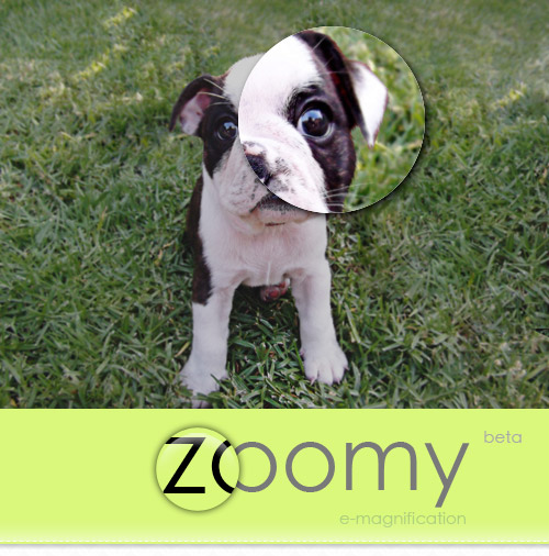 Zoomy - Creare un effetto zoom