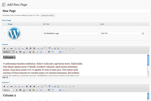 Advanced Custom Fields